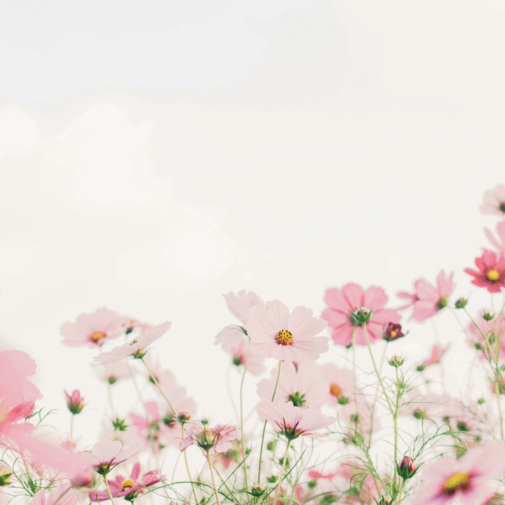 AI-generated launch video from prompt